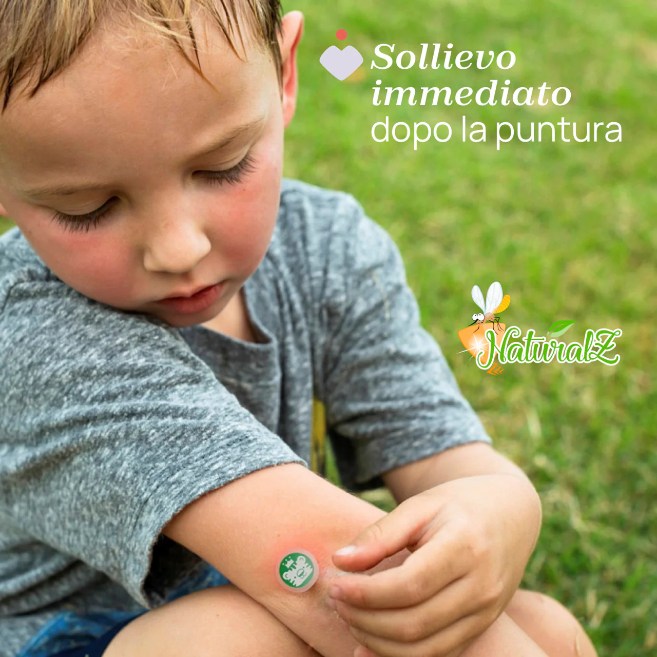 Immagine prodotto 3