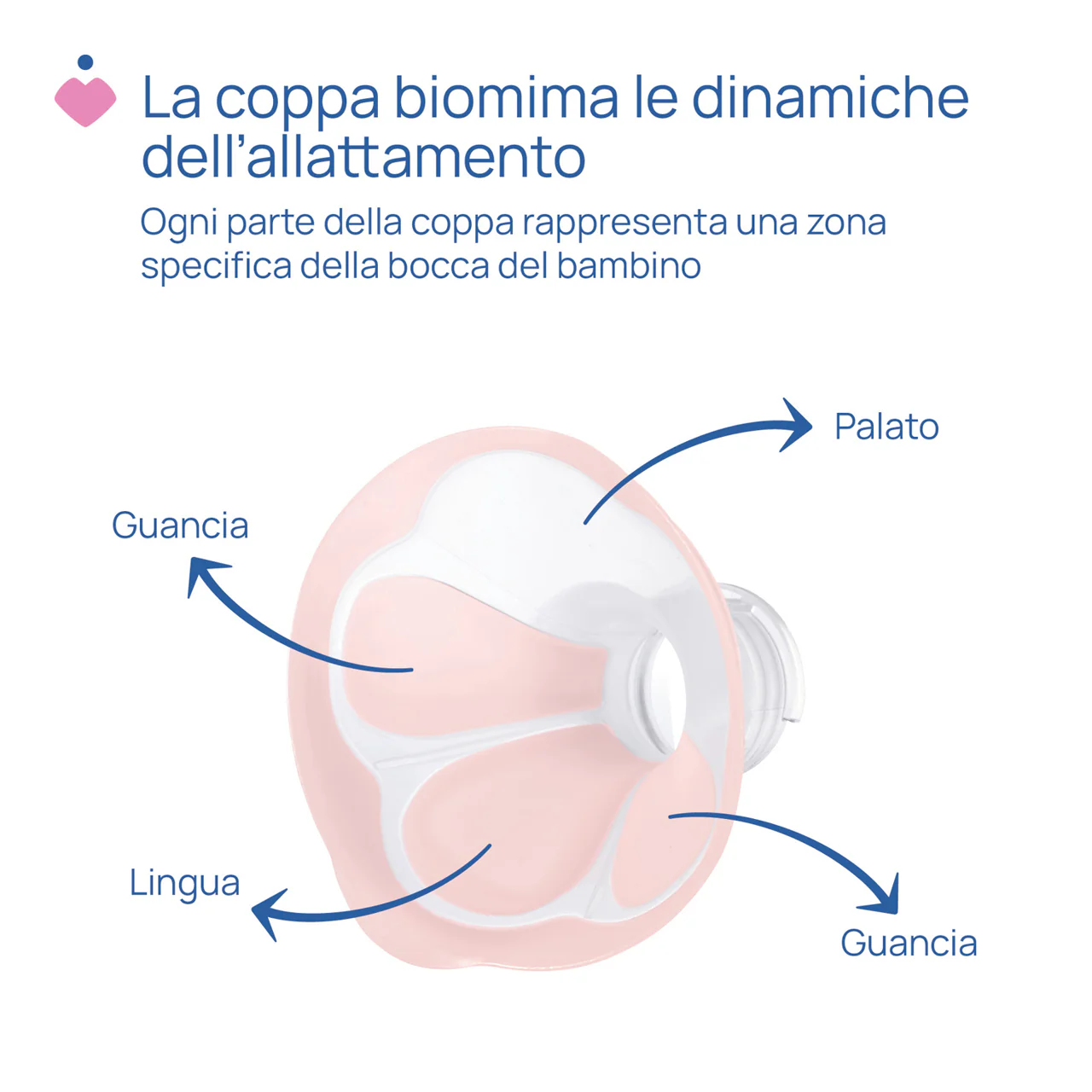 Immagine prodotto 3
