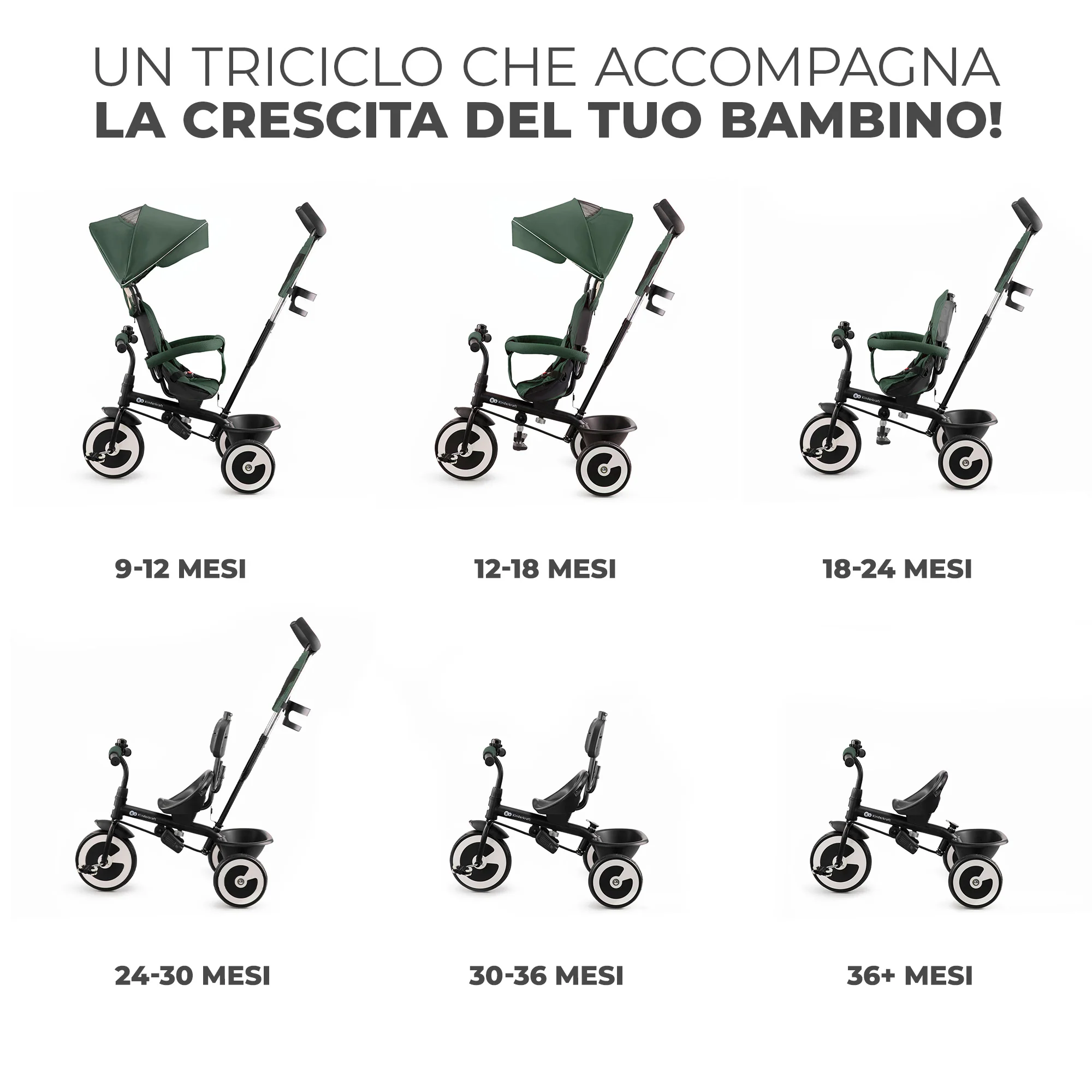 Immagine prodotto 10